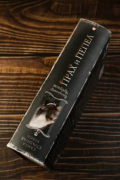 Самая страшная книга. Прах и пепел - фото 6