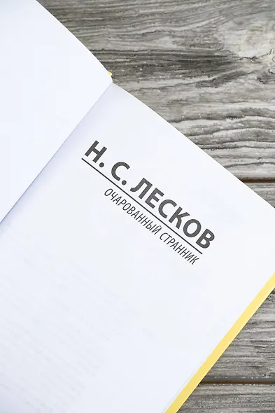 Очарованный странник - фото 7