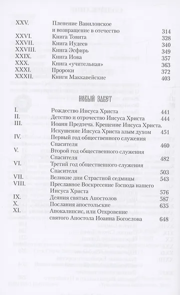 Библия для семейного чтения - фото 3