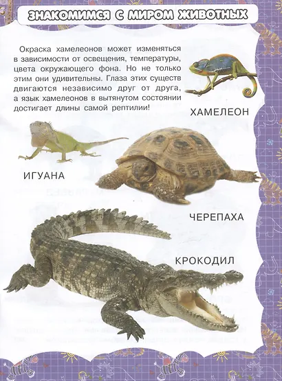 Экзотические обитатели Земли - фото 4
