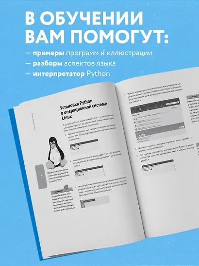 Программирование на Python для начинающих - фото 6