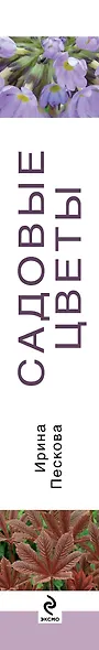 Садовые цветы - фото 4
