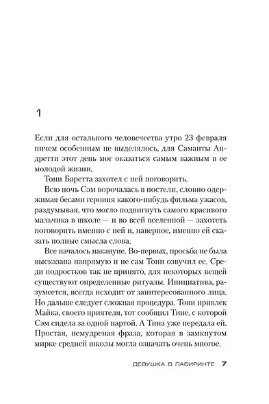 Девушка в лабиринте. Цикл Мила Васкес. Книга 3 - фото 9