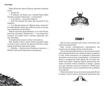 Shadow Fight. Бег за тенью - фото 4