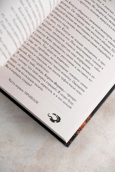 Короли пепла - фото 10