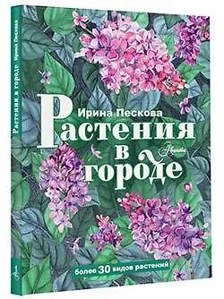 Растения в городе - фото 3