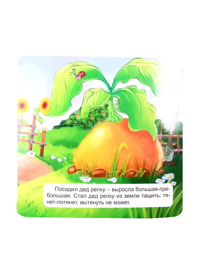 КНИЖКА-ГАРМОШКА. РЕПКА - фото 3