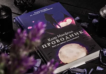 Проводник - фото 4