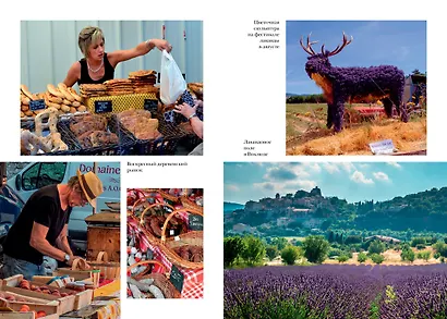 Год в Провансе - фото 7