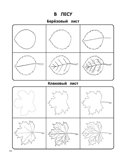 Экспресс-курс по рисованию - фото 10