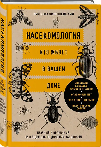 Насекомология. Кто живет в вашем доме: научный и ироничный путеводитель по домовым насекомым - фото 3