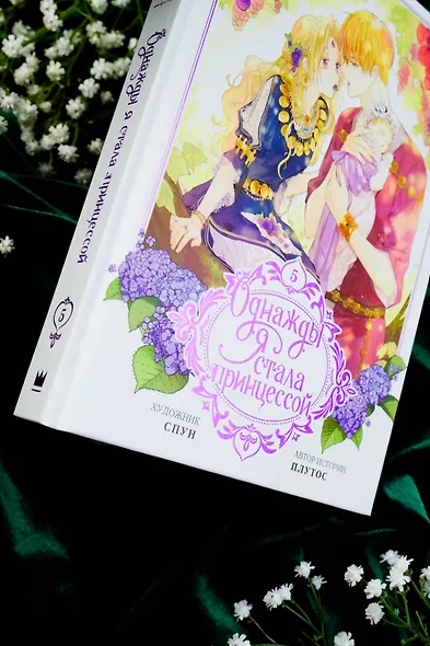 Однажды я стала принцессой. Том 5 (Кто сделал меня принцессой / Who Made Me a Princess). Манхва - фото 15