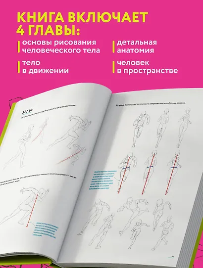Человек в движении. Подробный анатомический курс по рисованию: от общей формы до перспективы - фото 6