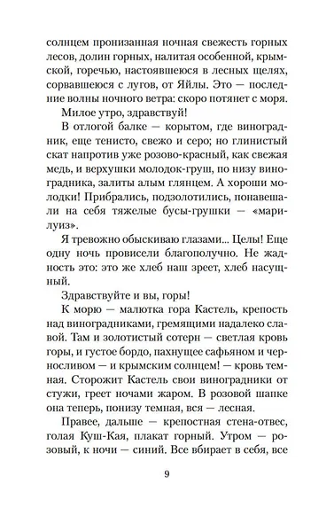 Солнце мертвых - фото 12