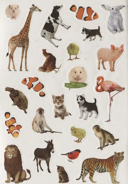 Книжка с наклейками "Счет" - фото 2