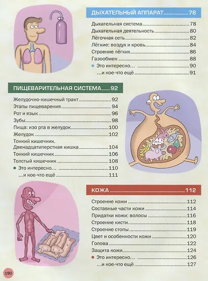 Энциклопедия человека. Как устроено наше тело - фото 4