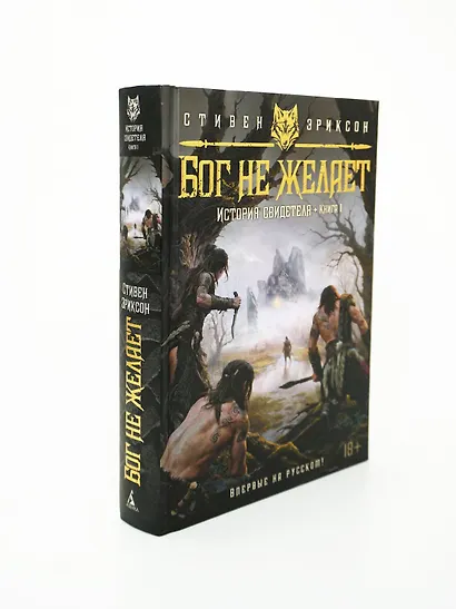 История свидетеля. Книга 1. Бог не желает - фото 11