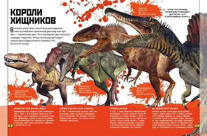 Животные. Книга юного эрудита - фото 4