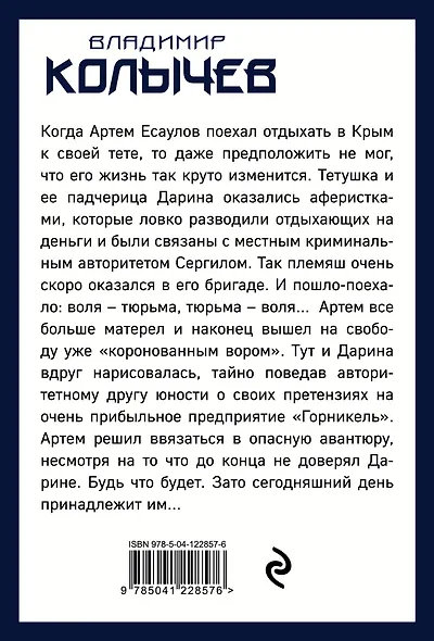 Честный вор - фото 2