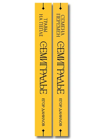 Комплект из 2-х книг цикла "Семиградье" - фото 8