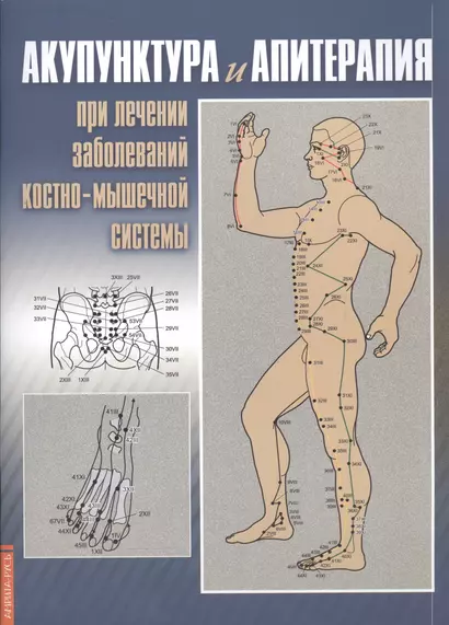 Акупунктура и апитерапия при лечении заболеваний костно-мышечной системы. Практическое руководство - фото 1