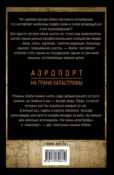 Аэропорт. На грани катастрофы - фото 2