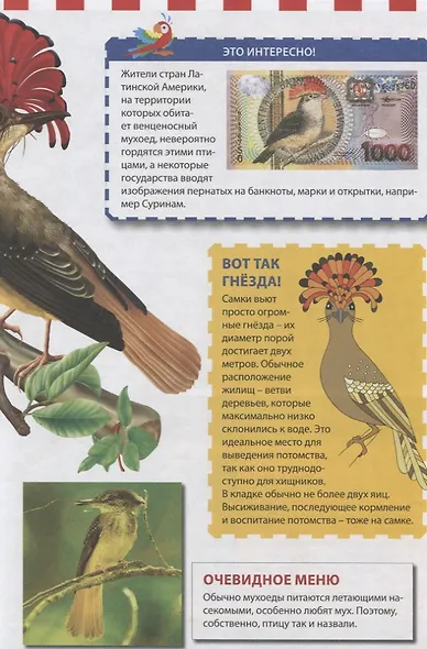 Экзотические птицы - фото 5