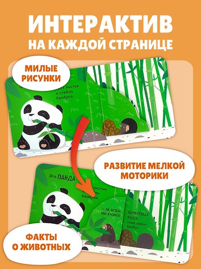 Дикие животные - фото 5