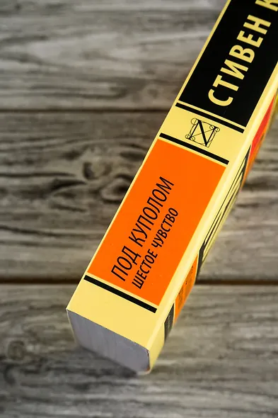 Под Куполом. Шестое чувство - фото 10