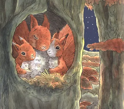 Приключения бельчат - фото 3