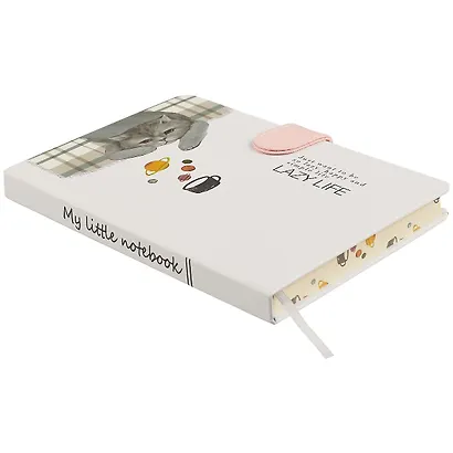 Блокнот с магнитной застёжкой «Кот. Lazy life», 256 страниц, А5 - фото 2