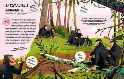 Вместе лучше! Командная работа в мире животных - фото 11