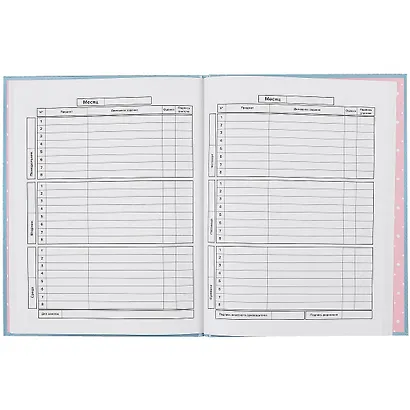 Дневник школьный Феникс+, "Ранец" - фото 2