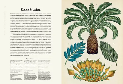 Ботаникум - фото 7