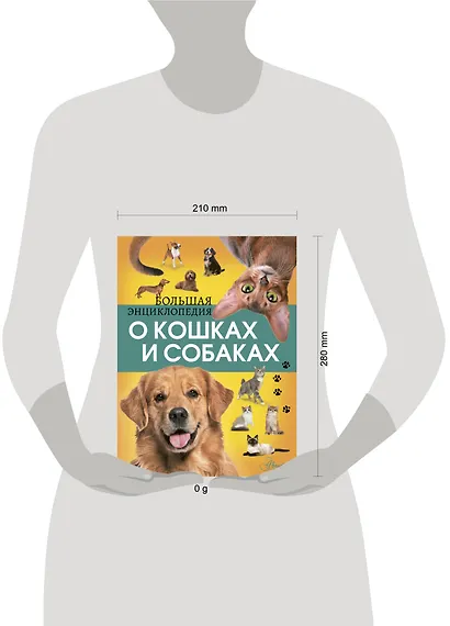 Большая энциклопедия о кошках и собаках - фото 8