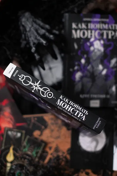 Как поймать монстра. Круг третий. Книга 2 - фото 12