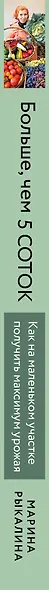 Больше, чем 5 соток. Как на маленьком участке получить максимум урожая - фото 11