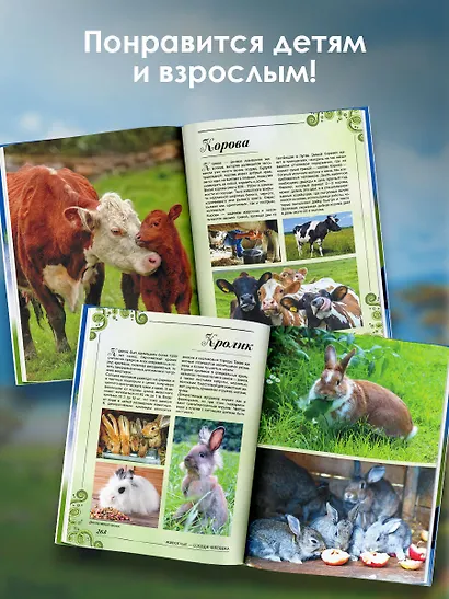 Большая книга о животных. 1001 фотография - фото 6