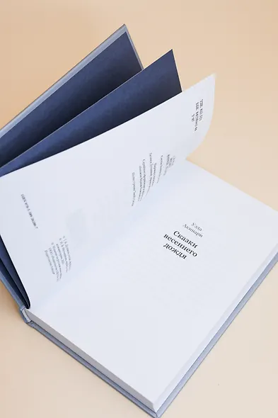 Сказки весеннего дождя. Повесть Западных гор - фото 10