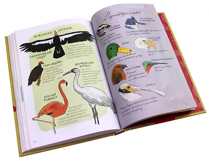 Анатомия природы. Занимательные детали мира природы - фото 11