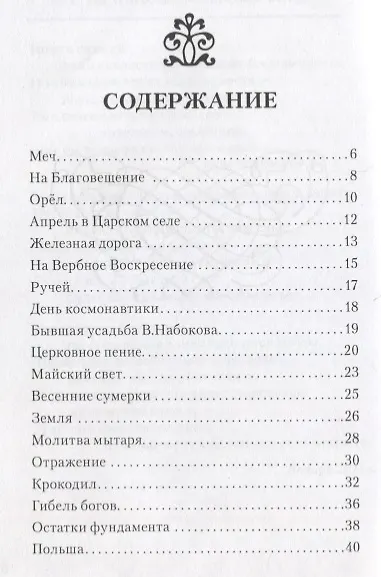 Небо сквозь ветви - фото 2