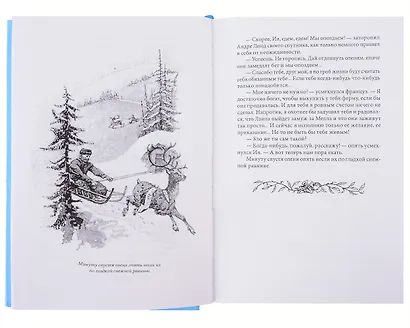 Роза в снегах - фото 4