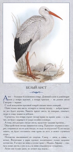 Птицы у воды. Реки касаясь трепетным крылом - фото 3