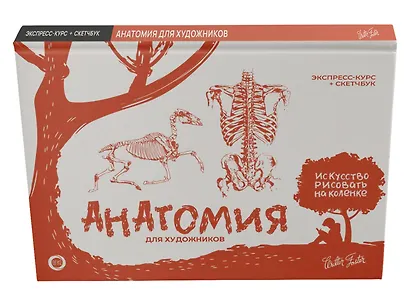 Анатомия для художников. Экспресс-курс + скетчбук - фото 3