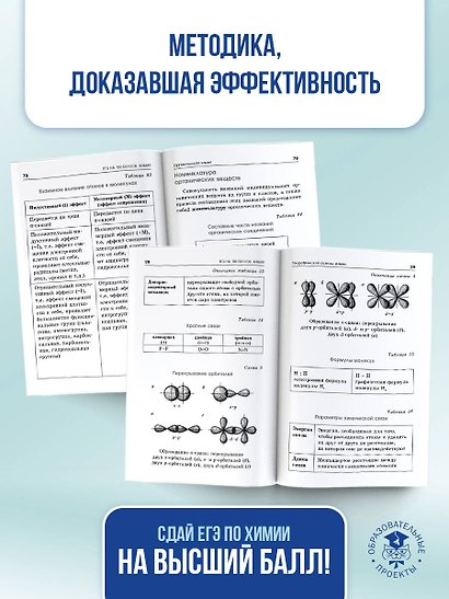 ЕГЭ на 100 баллов. Химия. Справочник. Теория и практика - фото 7
