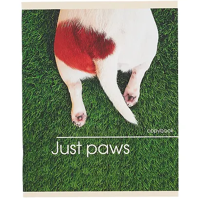 Тетрадь в клетку Listoff, "Лапки", 48 листов, в ассортименте - фото 6