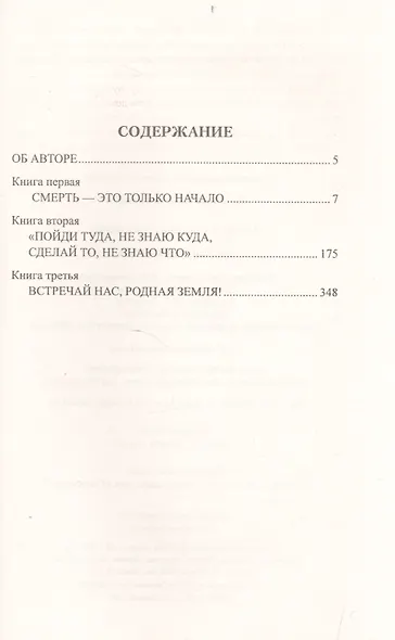 Янтарная сакма - фото 2