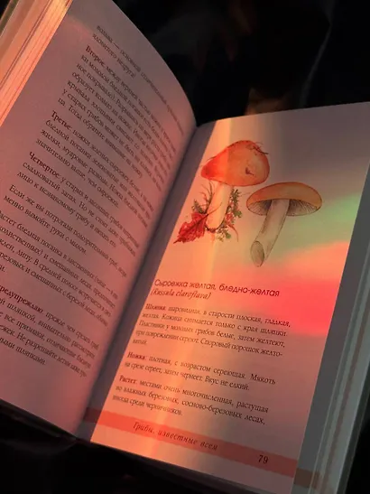 Грибы русского леса. Иллюстрированный определитель - фото 5