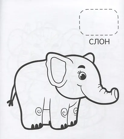 Удивительные животные - фото 2