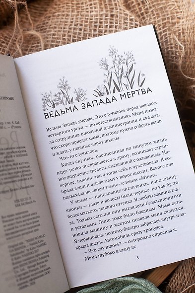Ведьма Запада мертва - фото 10